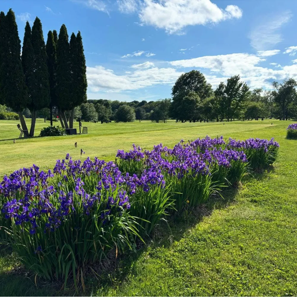 red hook golf club 28